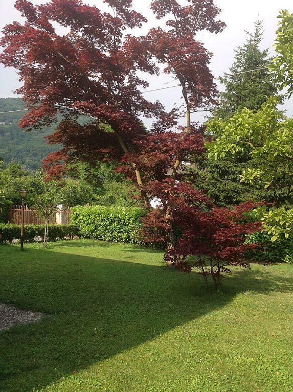 Villa Degli Aceri Sorico Exteriér fotografie